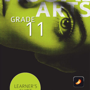 Visual Arts Grade 11 Learner’s Guide