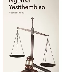 Ngenxa Yesithembiso Gr 11 HL (CAPS Approved)