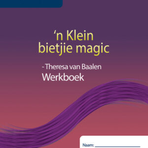 n Klein bietjie magic Werkboek eBook